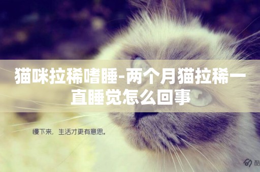 猫咪拉稀嗜睡-两个月猫拉稀一直睡觉怎么回事